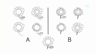 동양인 서양인 관점의 차이 | 인스티즈