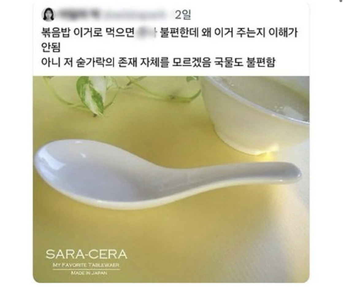 밥 먹을 때 개적폐 숟가락 | 인스티즈