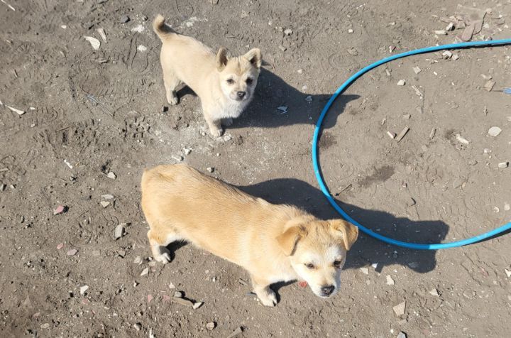 (공지라니... ++추가)새로생긴 회사 복지.. 미쳐서 도저히 일을 못하겠네.. (추가....)++추가 | 인스티즈