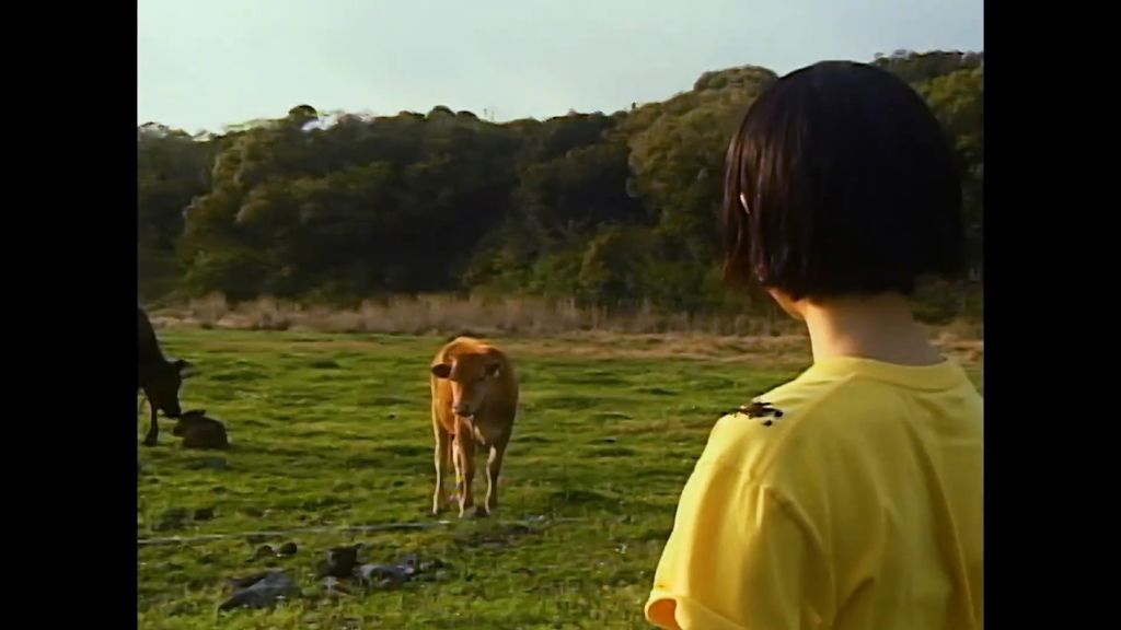 뉴진스 버블검 뮤직비디오 감독이 쓴 작업 후기 | 인스티즈