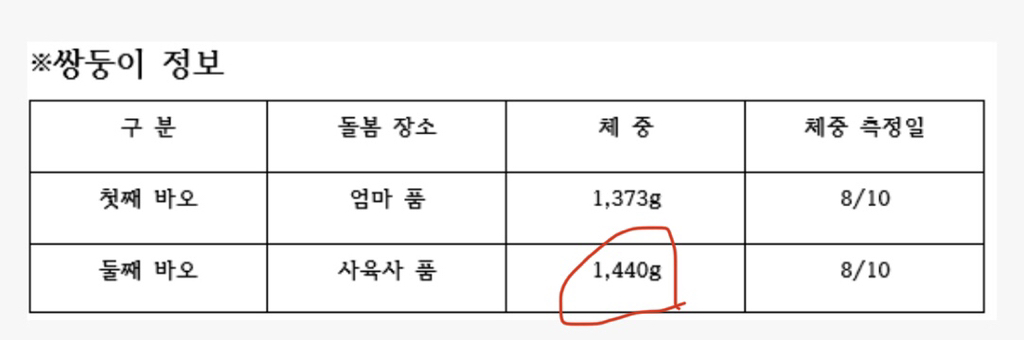 돼지만판다 이미지