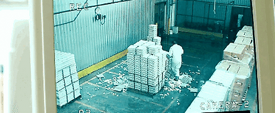 저 사실 지난 대선때 투표 안했어요 | 인스티즈