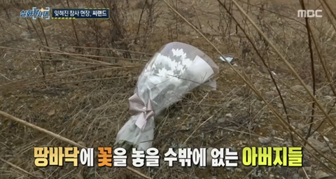 [실화탐사대] 경기도 화성 식물원 까페, 야*수*을을 절대 가지말아야 하고, 주변에 많이 알려야하는 이유(엄청 긴글주의) | 인스티즈