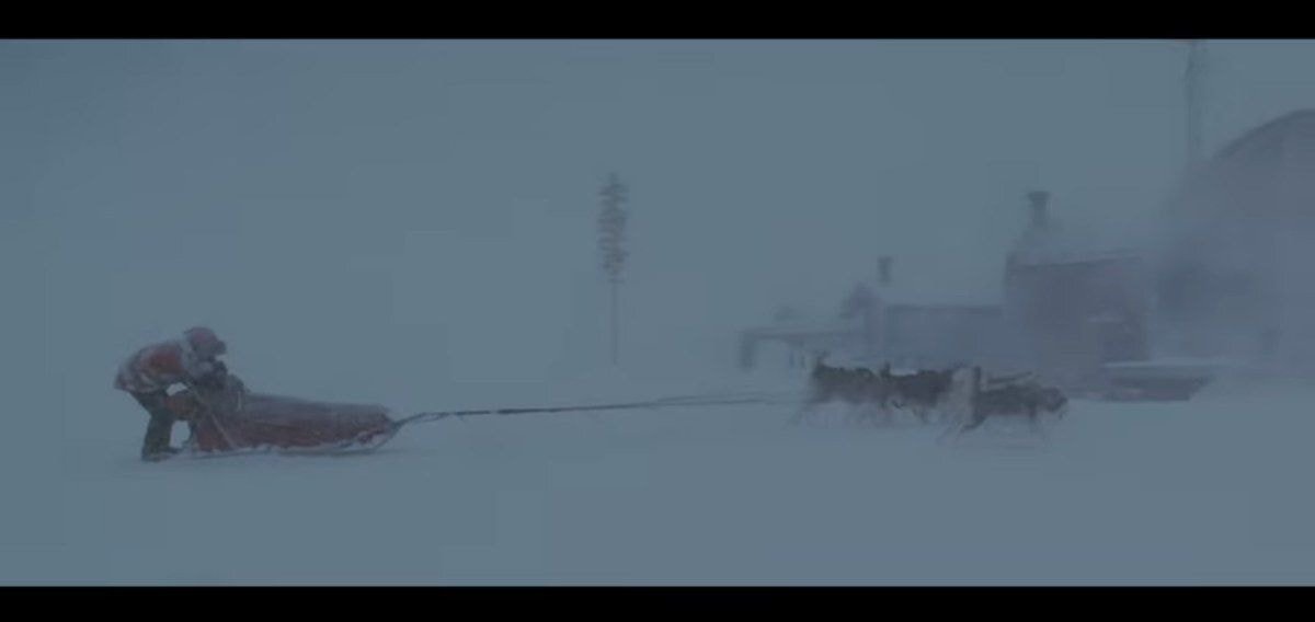 같이 남극 탐험하는 사람이 금방 돌아 온댔는데 폭풍으로 못온대 | 인스티즈