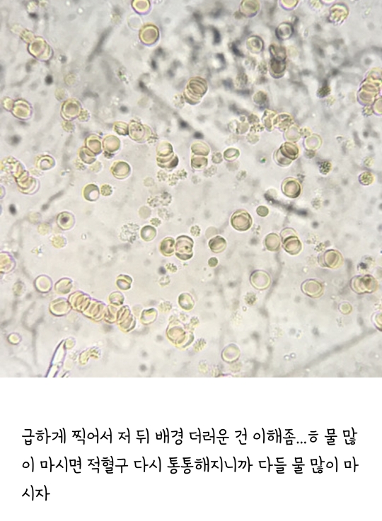 내취향 주제 없는 소소한 캡쳐 2 | 인스티즈