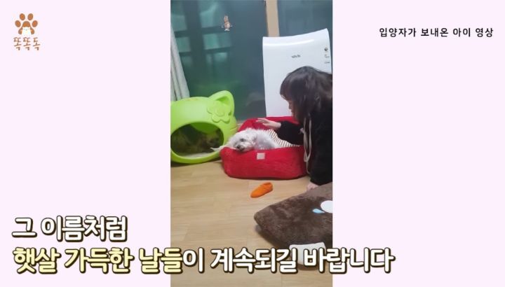 7살 아이 눈에 비친 유기견 보호소는? | 인스티즈