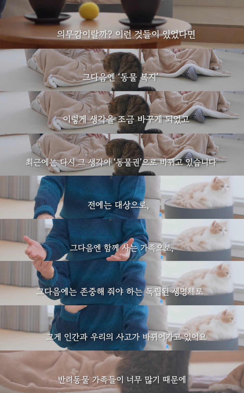 이재명이 생각하는 동물복지정책 | 인스티즈