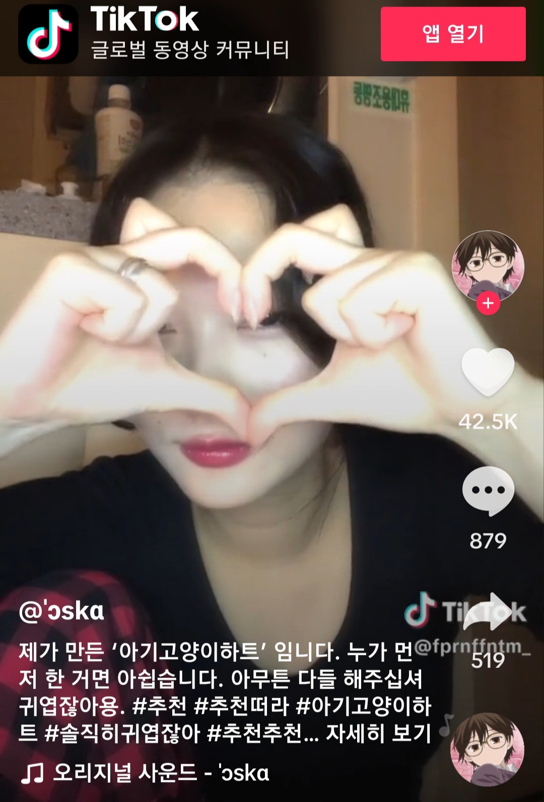 아이돌 사이에 유행돌 것 같은 틱톡커가 만든 아기 고양이 하트 | 인스티즈