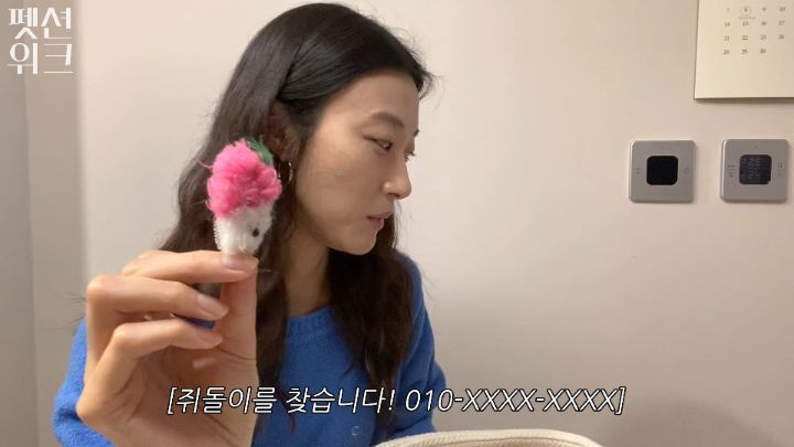 집사들 고양이 장난감 왤케 많이 사는거야 | 인스티즈