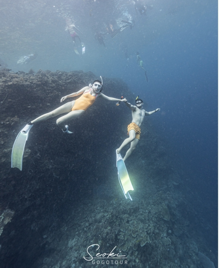 프리다이빙 배우고 넘어간다는 취미 머메이드 다이빙 | 인스티즈
