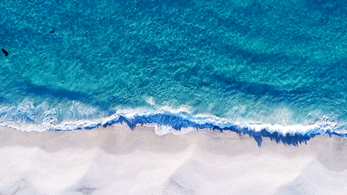 돛을 올려라 바람결을 따라 노를 저어라 늘 그래왔듯이🌊 | 인스티즈