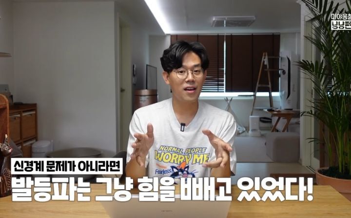 고양이 벽짚 챌린지는 진짜 지능과 관련 있을까? | 인스티즈