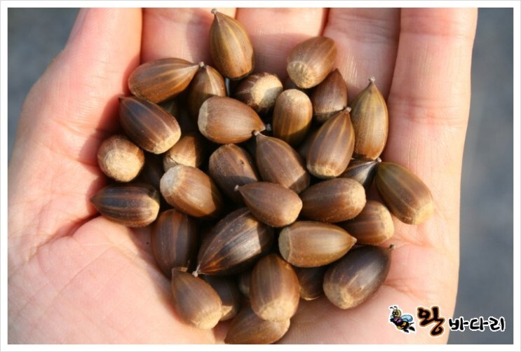 8db779ecaf6f2f5eeb4440733f439b8638f88b60