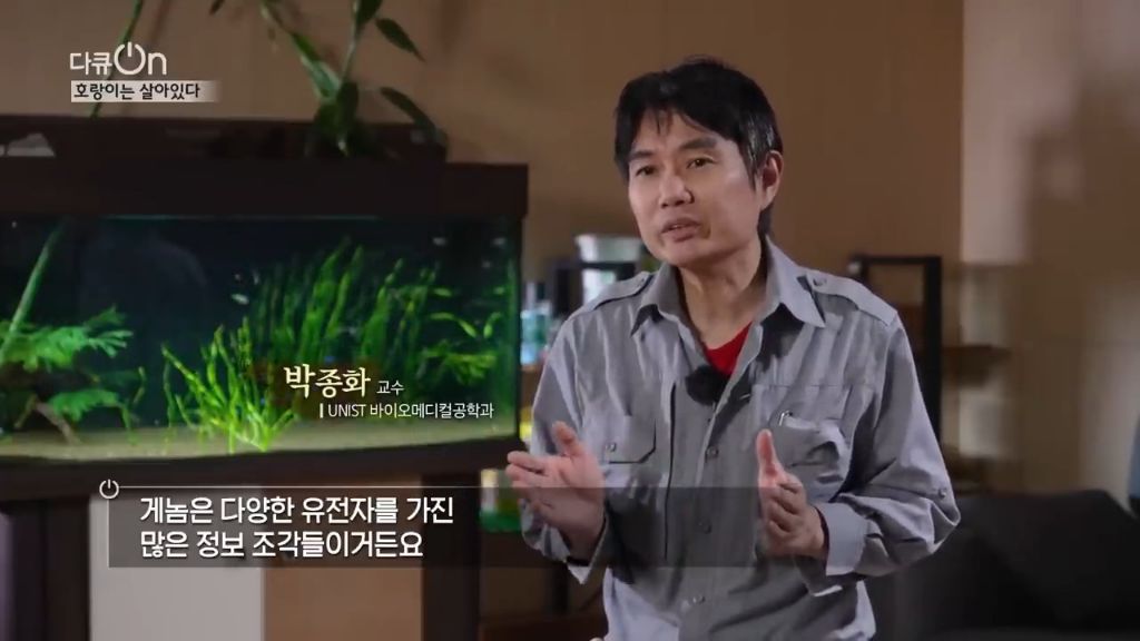 '절멸'의 '한국 호랑이'. 🐅 그 100년간의 이야기. -마지막- | 인스티즈