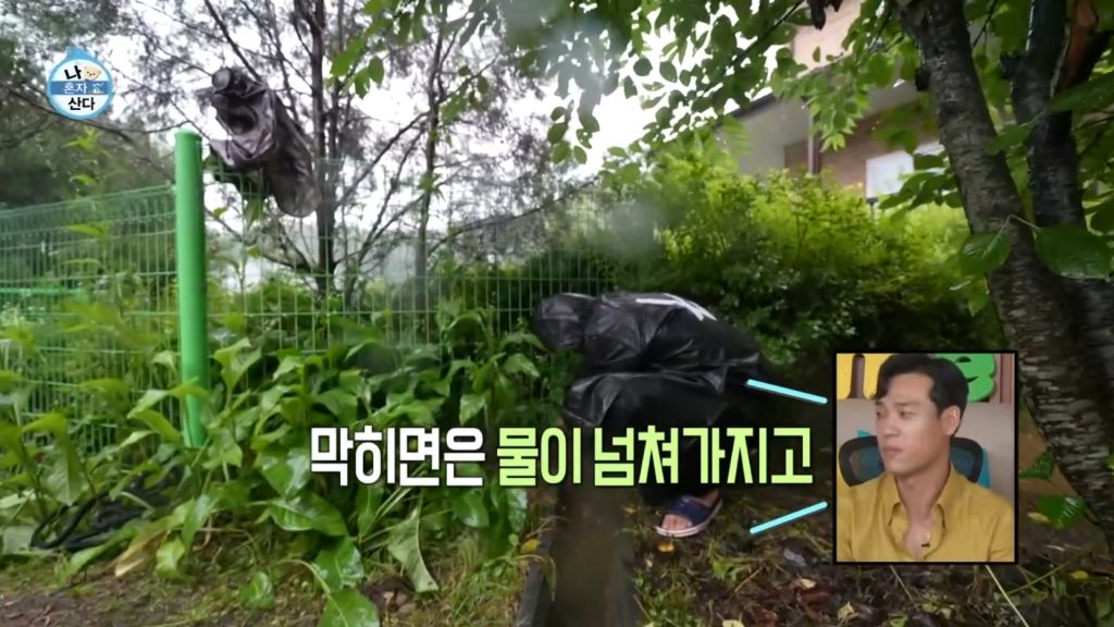 나혼자산다 최재림 피규어 버리는거보면서 느낀 ESTJ특징 : 정말버린다 | 인스티즈
