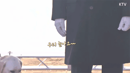 문프에게 놀아달라고 조르는 안내견.gif | 인스티즈