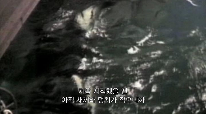어느날 소방서에 고래가 조련사를 잡아 먹었다는 신고가 들어왔다 .jpg (스압주의) | 인스티즈