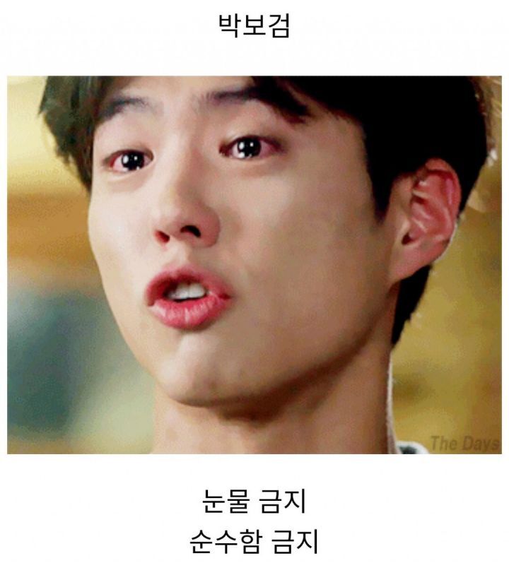 배우들 금지 시키기 | 인스티즈