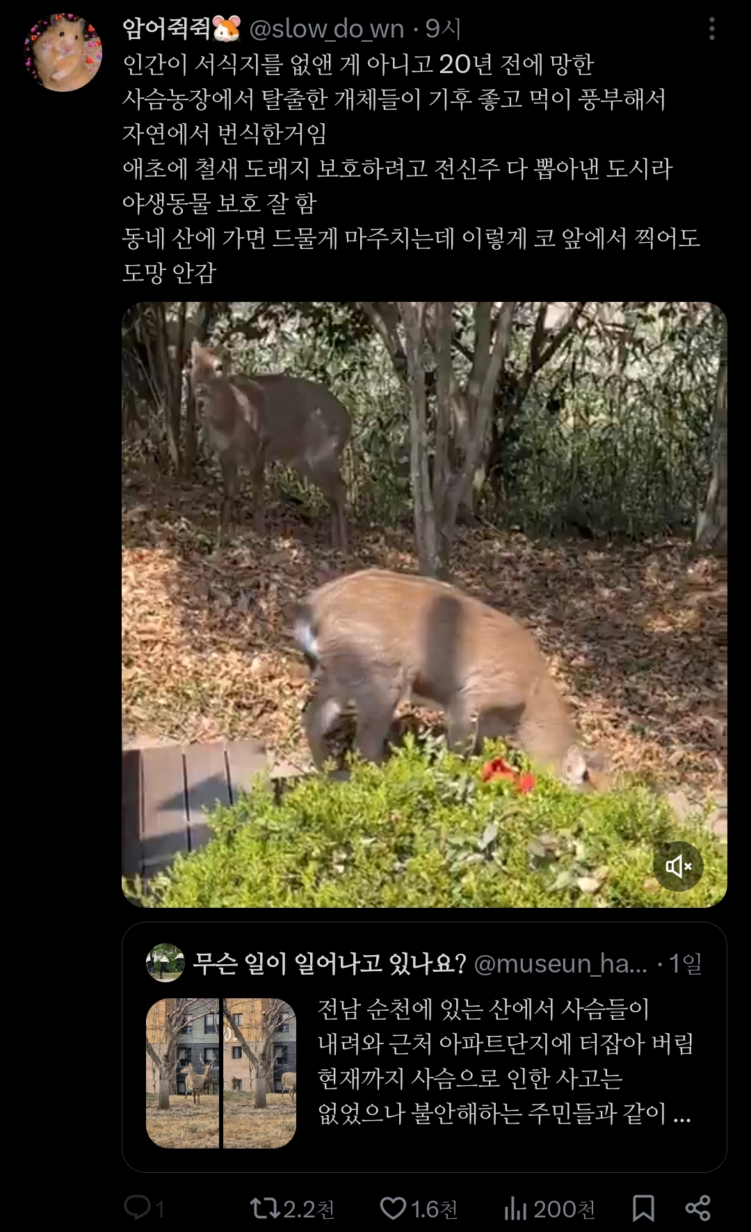 거의 사슴의 지상낙원 됐다는 전남 순천시.jpg | 인스티즈