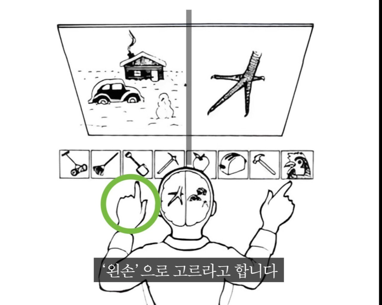 오싹오싹 스스로에게 구라치는 뇌.jpg | 인스티즈
