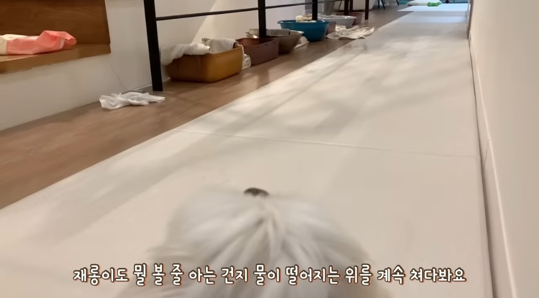 새로 이사온 주택에 물이 새요.jpg | 인스티즈