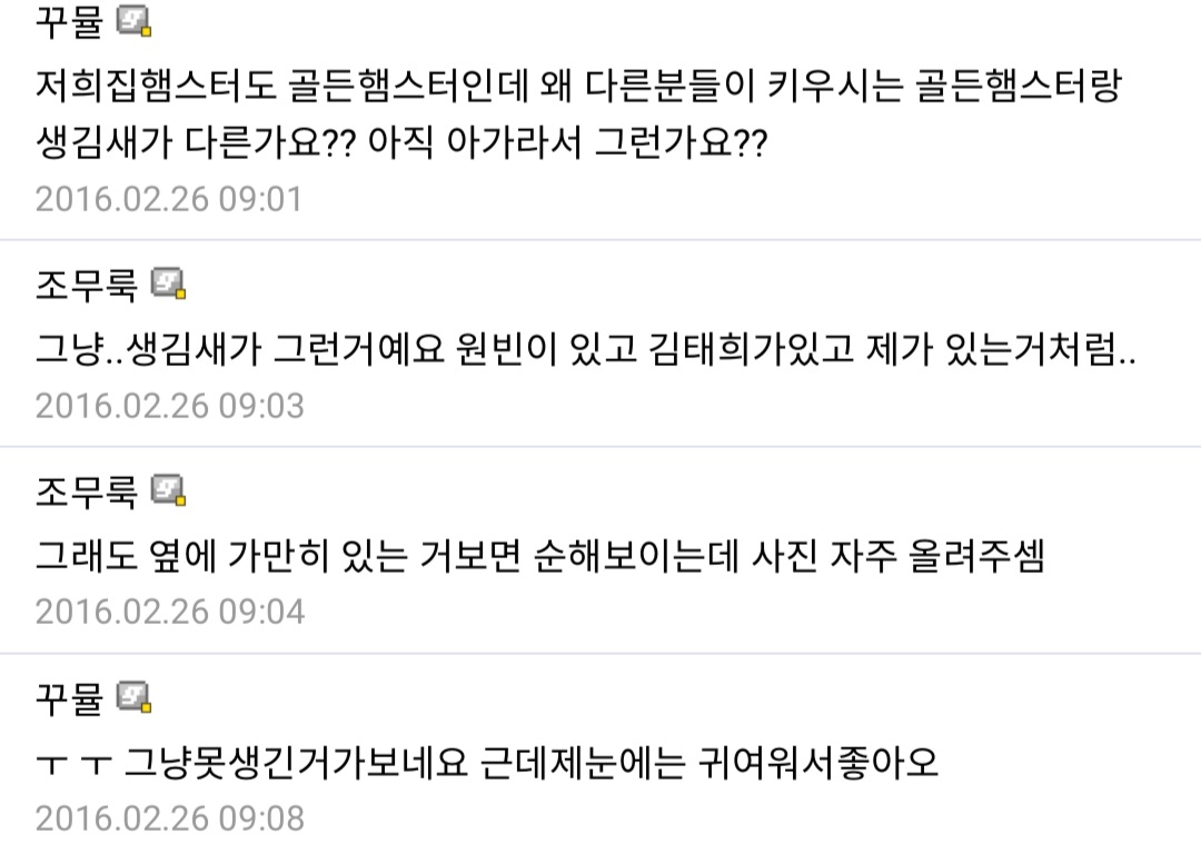 저희집햄스터 너무 쥐같애요 | 인스티즈