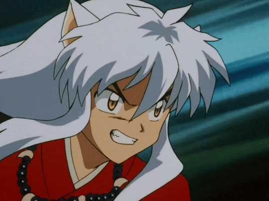 이누야샤 작가 피셜 이누야샤 캐릭터들 능력치 | 인스티즈