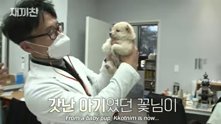 개농장에서 구출됐던 강아지 꽃님이의 버르장머리 없어진 최근 모습 | 인스티즈