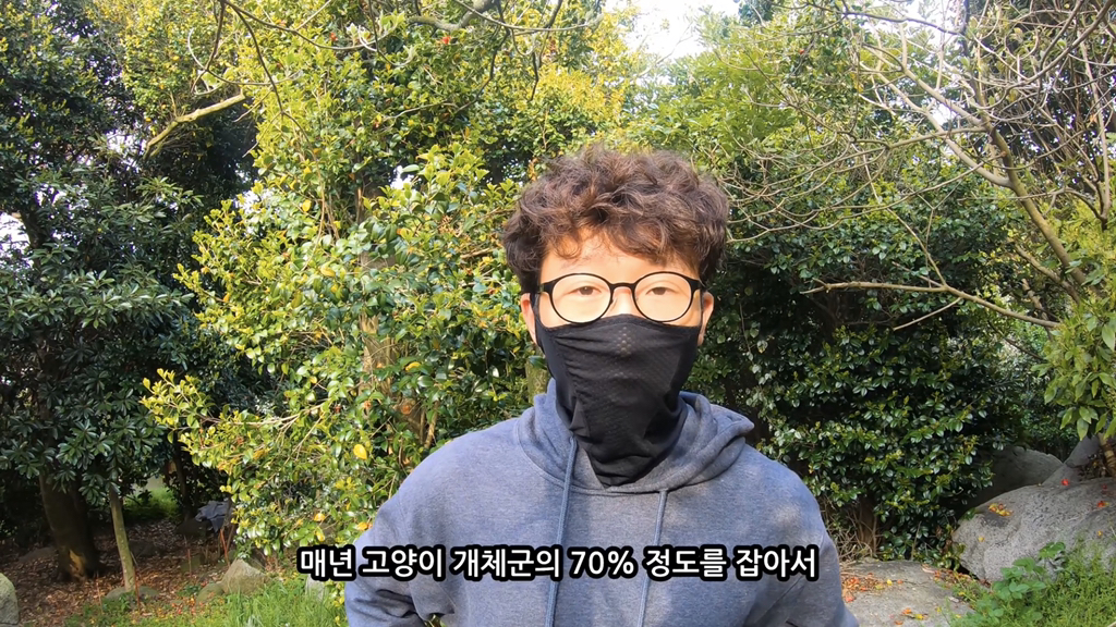 고양이가 자연생태계에 끼치는 심각한 영향(새 사체사진있음) | 인스티즈