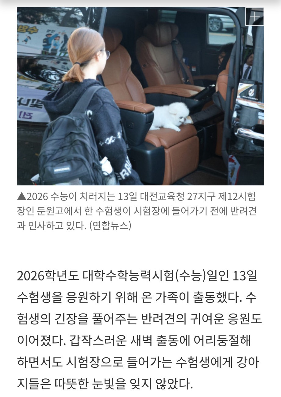 새벽 출동에 '멍'…수능 응원하러 간 강아지들 | 인스티즈