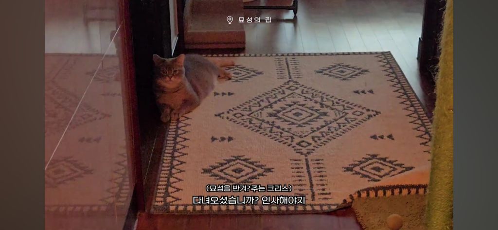 프리랜서 여성의 출퇴근 8번하는 브이로그 | 인스티즈