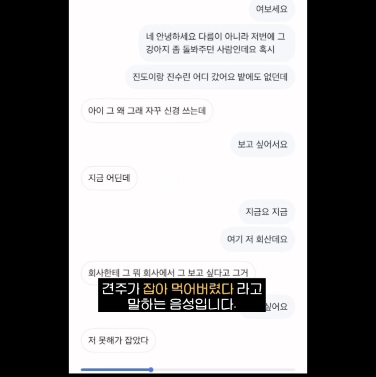 [입양홍보] 개장수에게 팔렸다 되찾아온 방치견 진순이·진돌이, 평생 가족을 찾아요! (부산/울산/전국) | 인스티즈