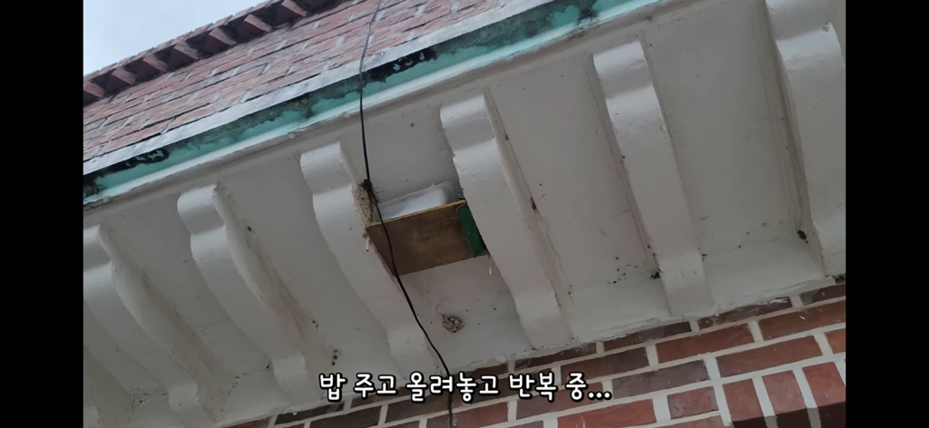 금은보화가 들어있는 박씨를 얼마나 받을지 궁금한 매탈남 | 인스티즈