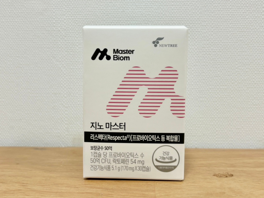 지노 이미지