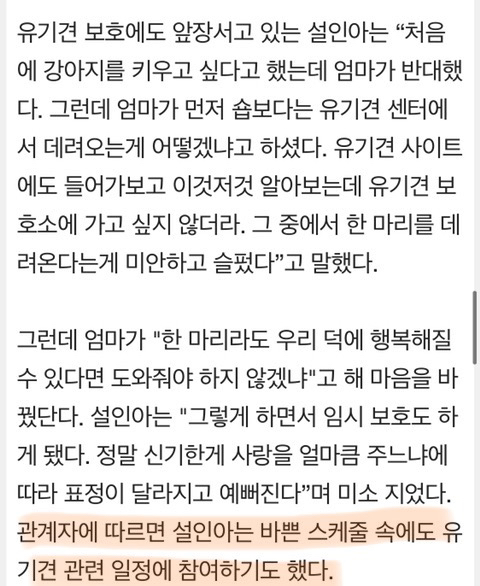 꾸준히 유기견 돕는 배우 | 인스티즈