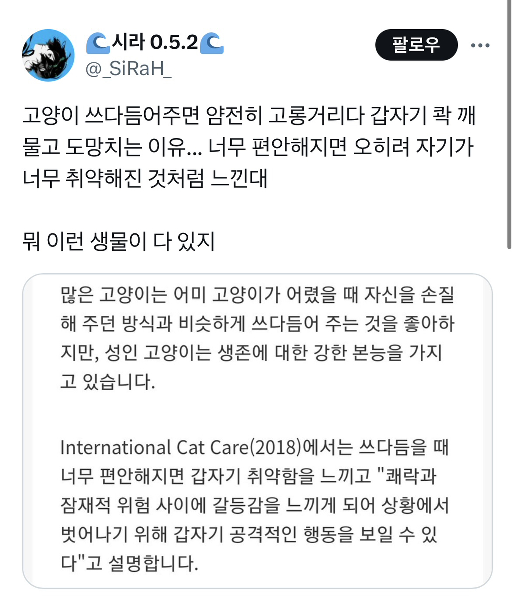 고양이가 고롱거리다가 갑자기 깨무는 이유 | 인스티즈