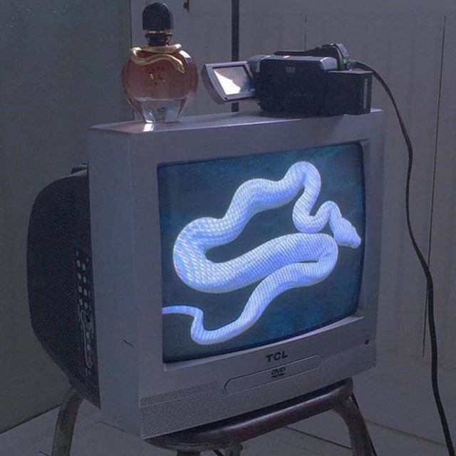 요즘 다시 유행하는 레트로 캠코더.gif | 인스티즈