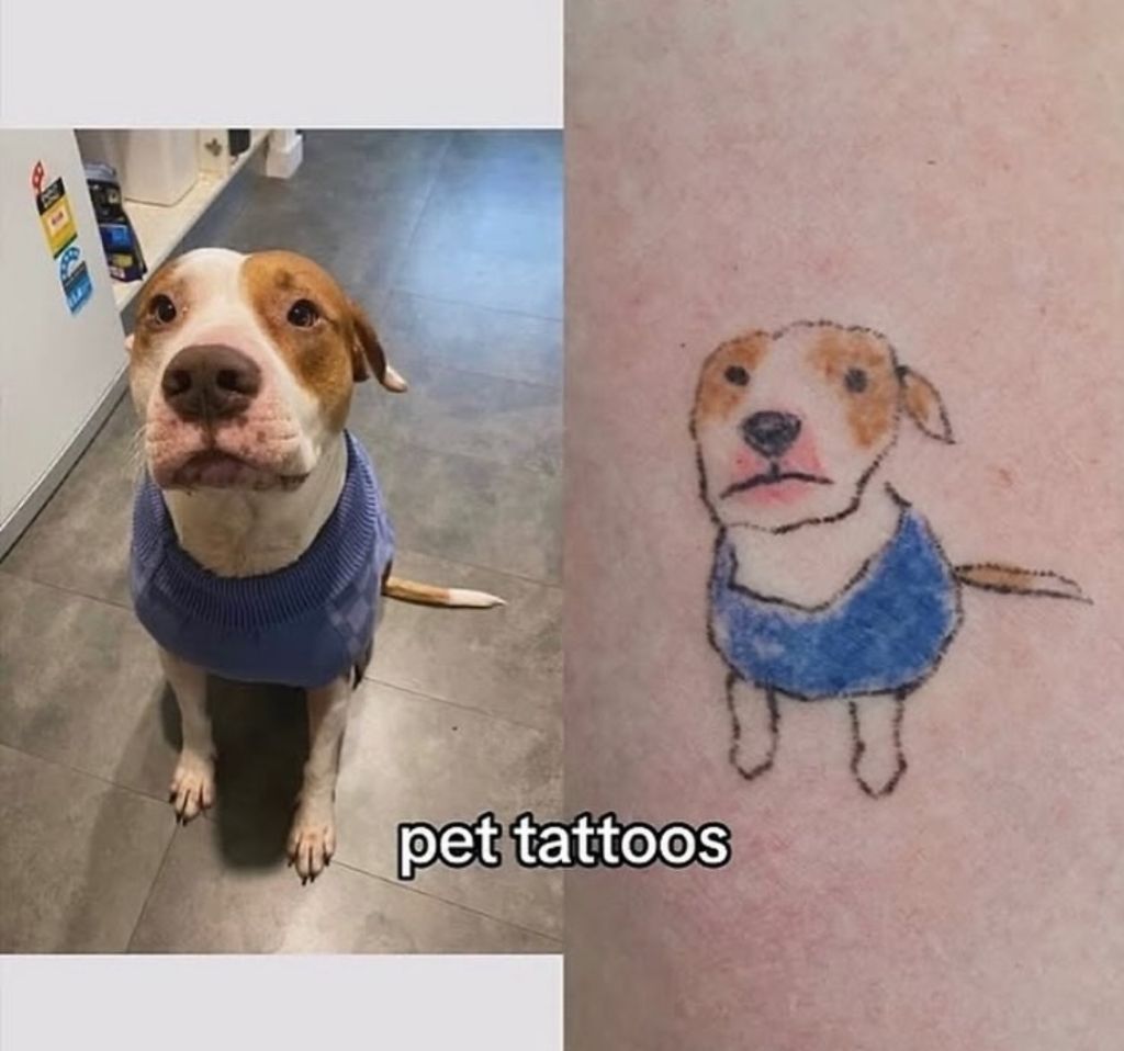 애매한데 비슷한 느좋 동물 타투들 | 인스티즈