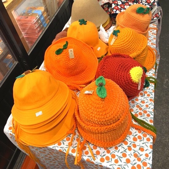 제주도 감귤 아이템🍊.jpg | 인스티즈