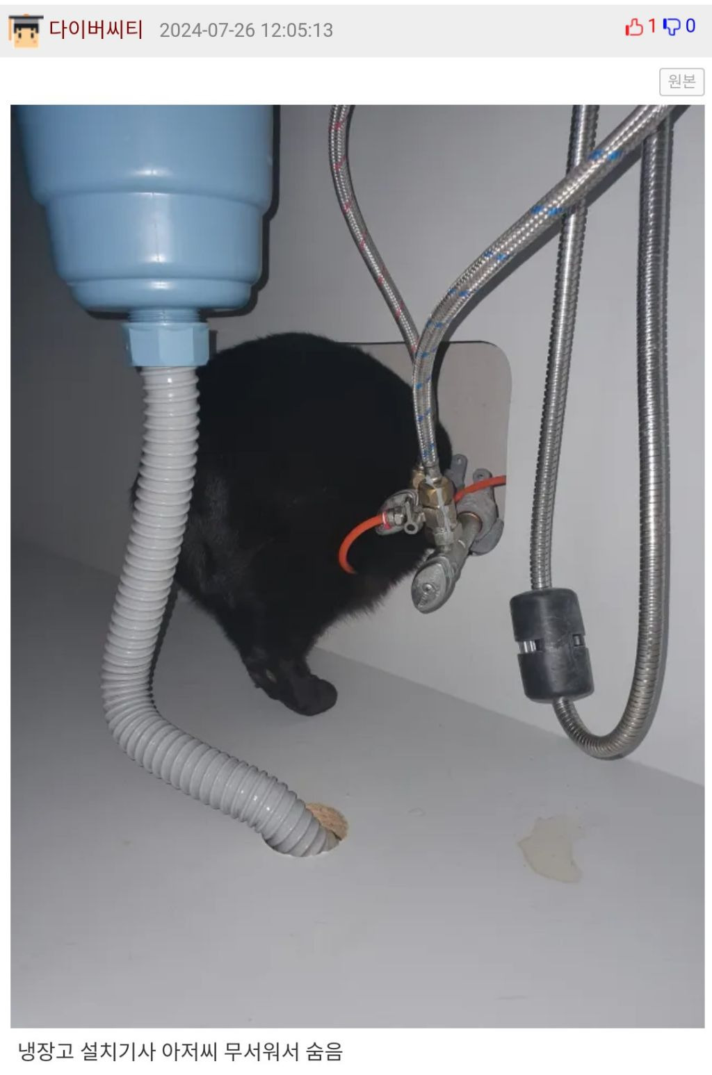 집 수리하는 아저씨 오셔서 셋 다 숨음 | 인스티즈