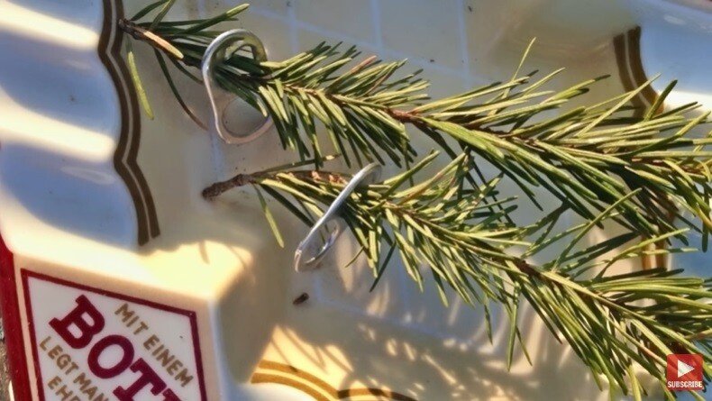 자신을 치료하고 먹이를 준 남자에게 보답한 까마귀 | 인스티즈