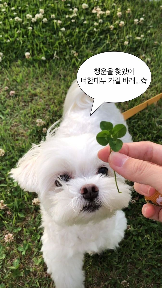 문장 뽑기: 인생에 힘이 되어주는 문장들이 들어있어요 | 인스티즈