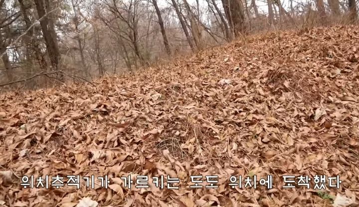 도도와 야통이도 더이상 못볼뻔했다(하하하 hahaha) | 인스티즈
