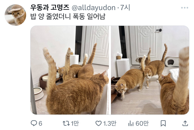 맘마 줄였더니 폭동 일어남.jpg | 인스티즈