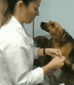 사랑이라고 생각하는 짤 올려보는 달글 | 인스티즈