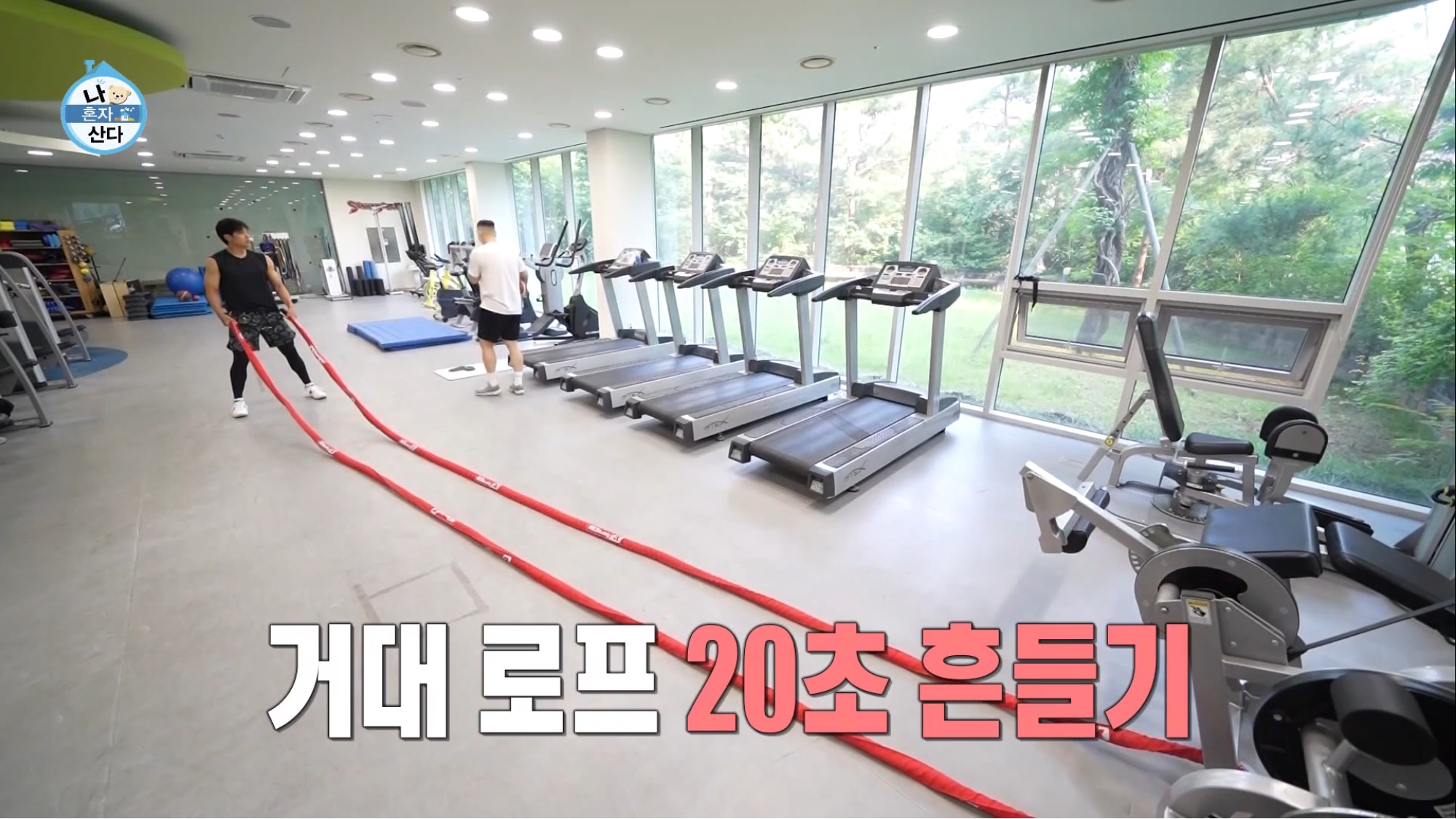 보는 사람이 다 힘들었던 나혼자산다 허훈편 | 인스티즈