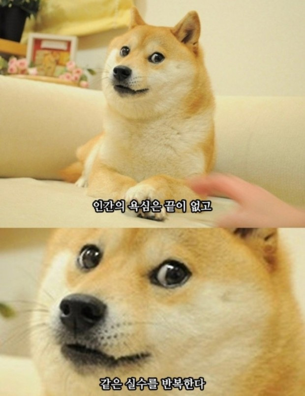 인 이미지
