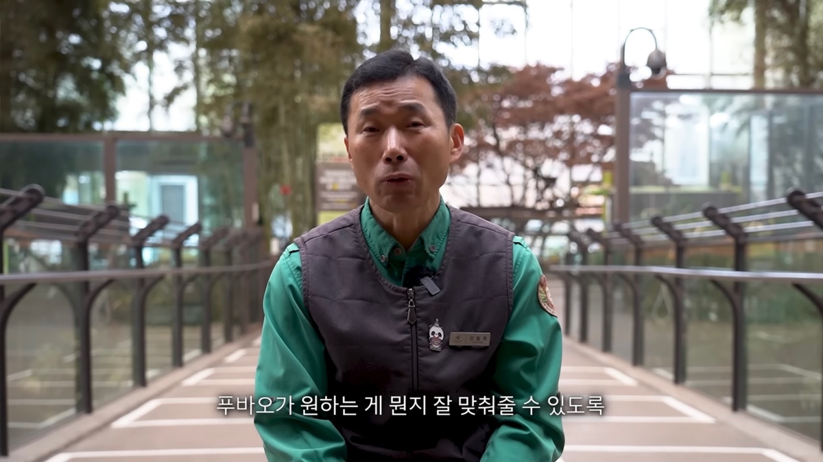강바오가 중국 사육사에게 보내는 영상편지 (오열주의) | 인스티즈