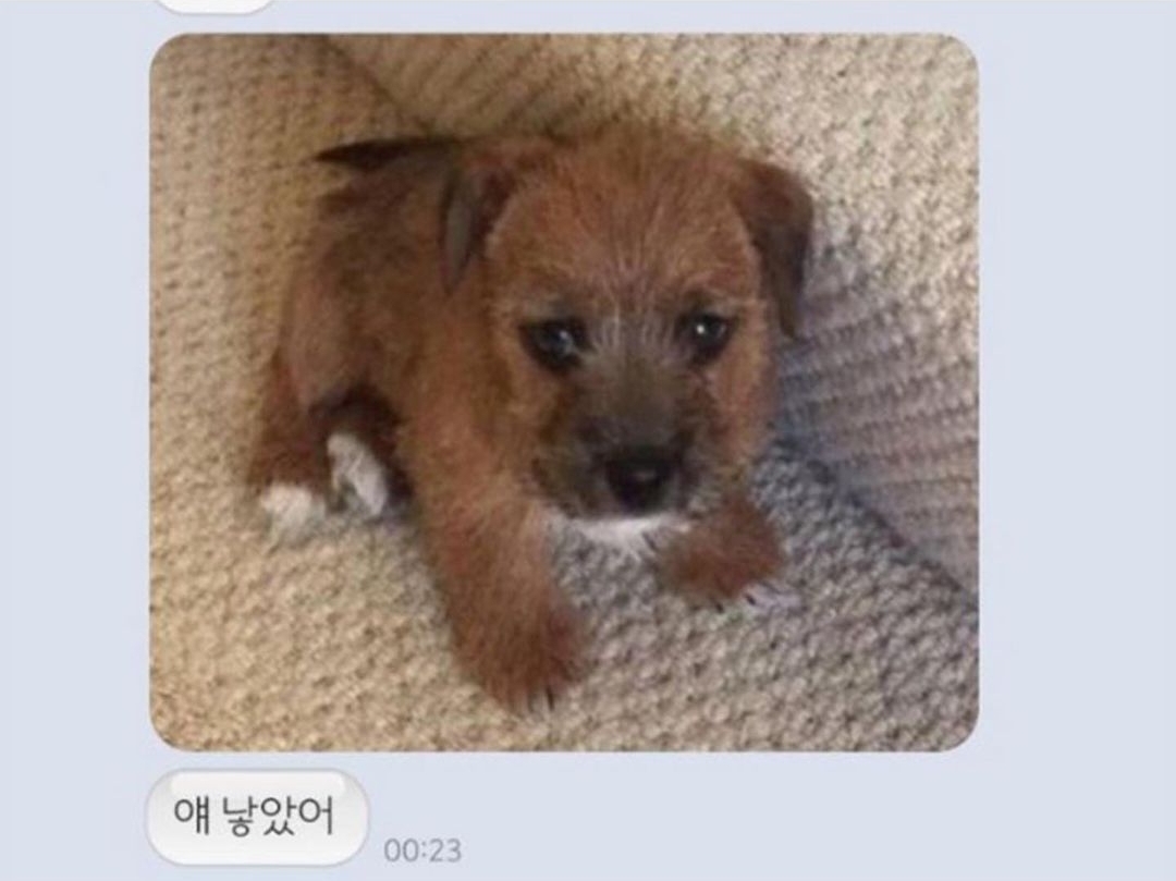얘가 얘 낳았어 | 인스티즈