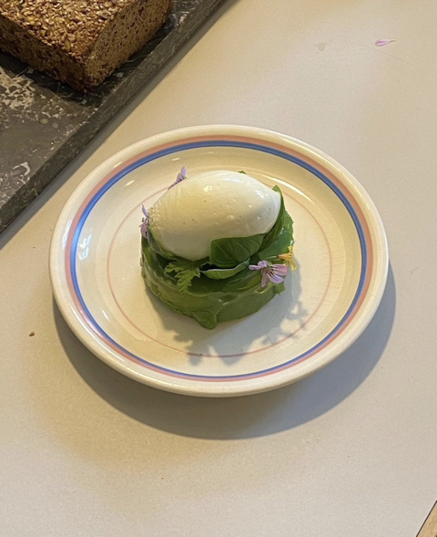 덴마크의 쉐프 frederik bille brahe가 만드는 감각적인 베지테리언 요리 | 인스티즈